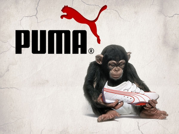 PUMA / спорт бренд с доставкой из Германии